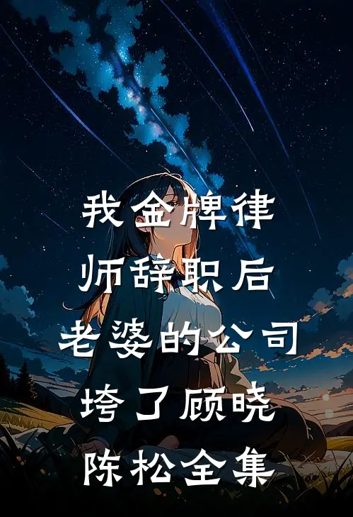 我金牌律师辞职后，老婆的公司垮了顾晓陈松全集
