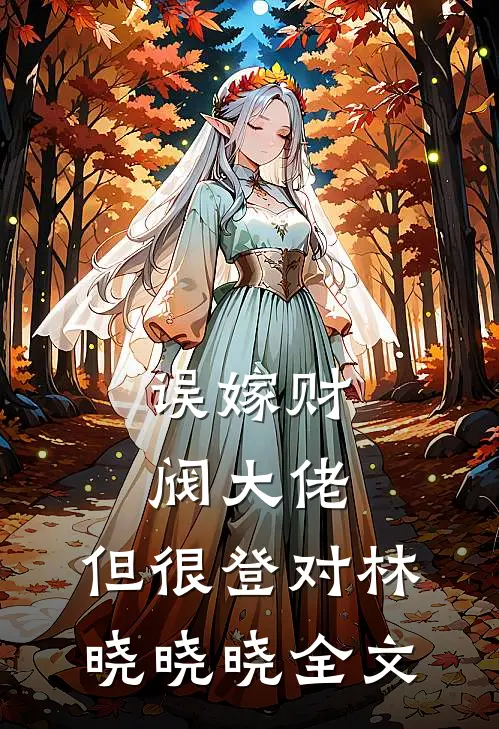 误嫁财阀大佬，但很登对林晓晓晓全文