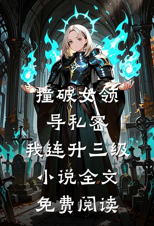 撞破女领导私密，我连升三级小说全文免费阅读