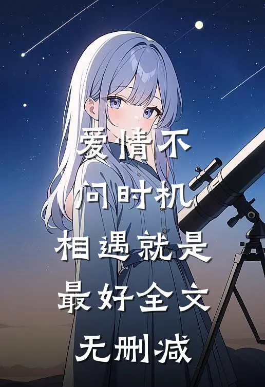 爱情不问时机，相遇就是最好全文无删减