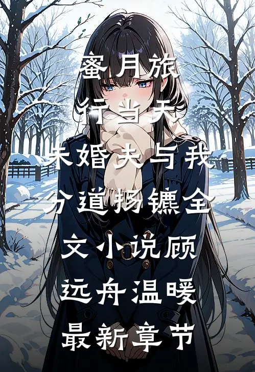 蜜月旅行当天，未婚夫与我分道扬镳全文小说顾远舟温暖最新章节