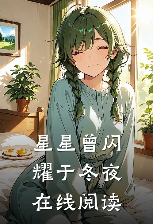 星星曾闪耀于冬夜在线阅读